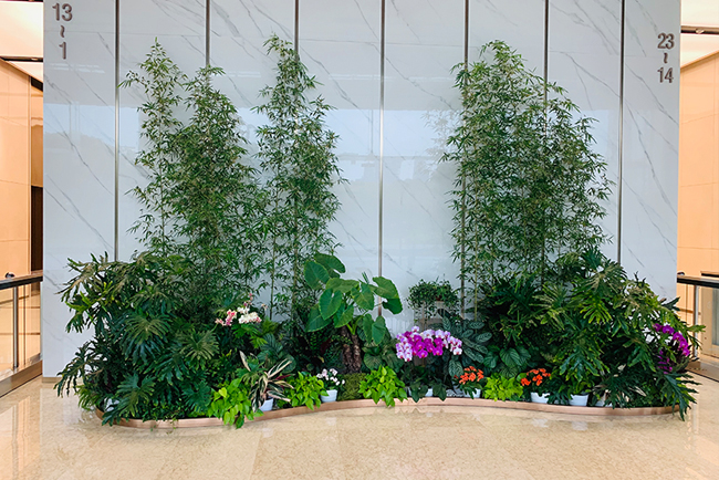 IM体育园林室内绿化美陈列计