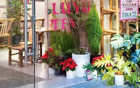 活动分享 | 把绿意带进新式茶馆，开启天然场景新体