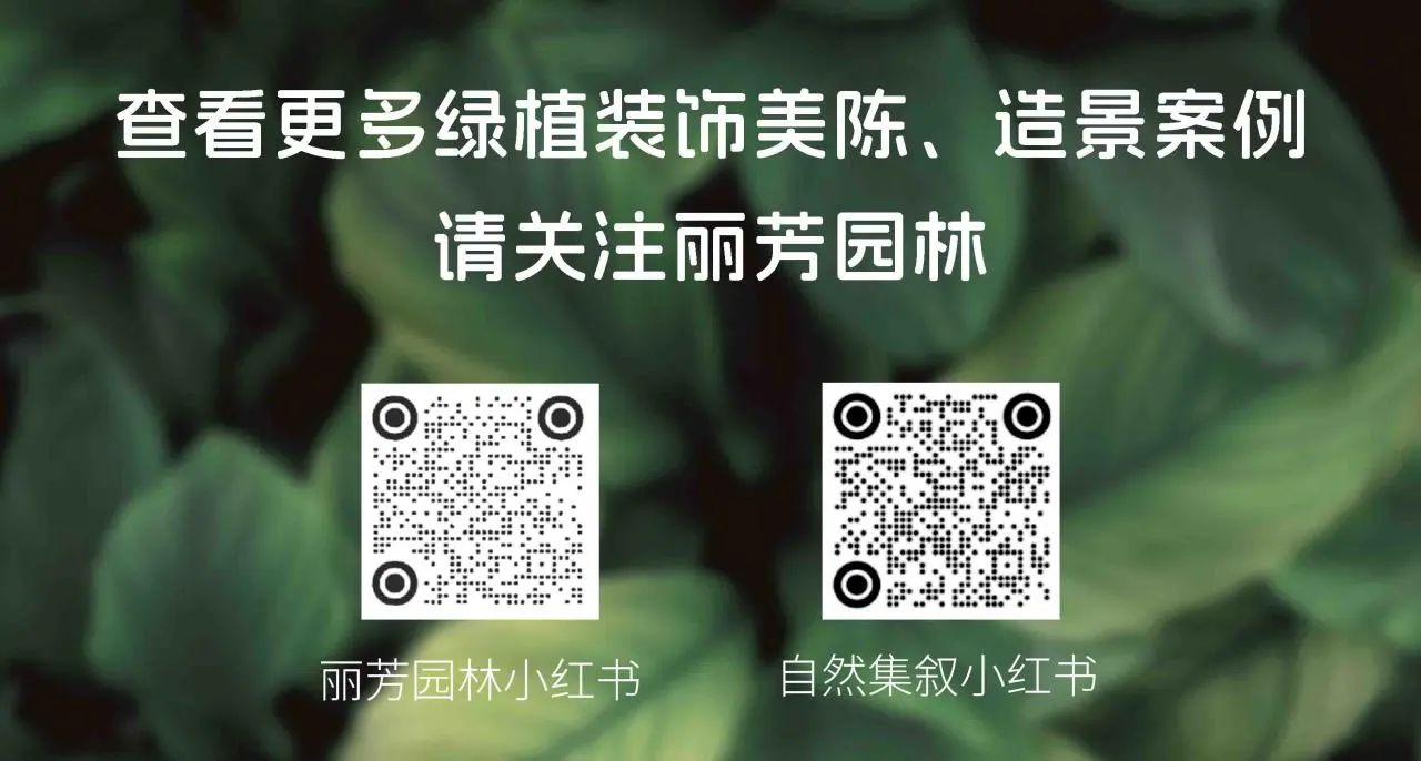 IM体育·(中国区)官方网站 -APP下载