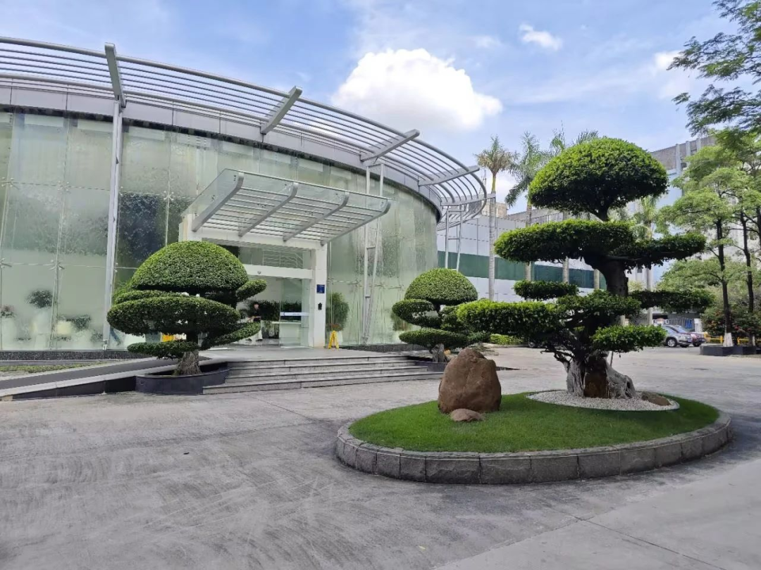 IM体育·(中国区)官方网站 -APP下载