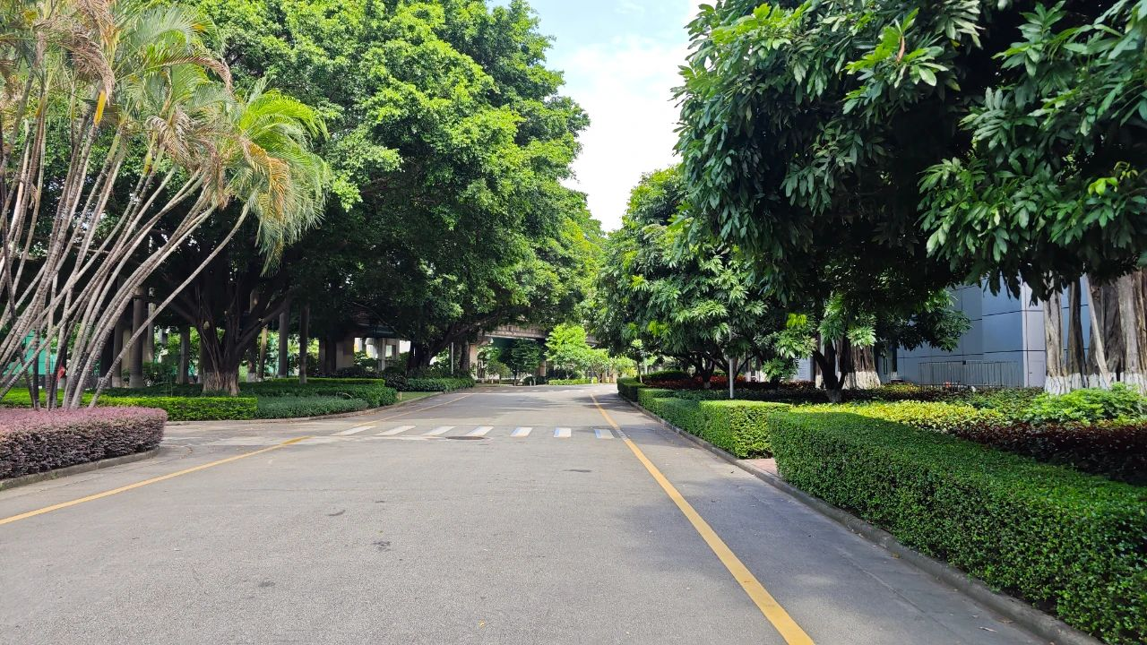 IM体育·(中国区)官方网站 -APP下载