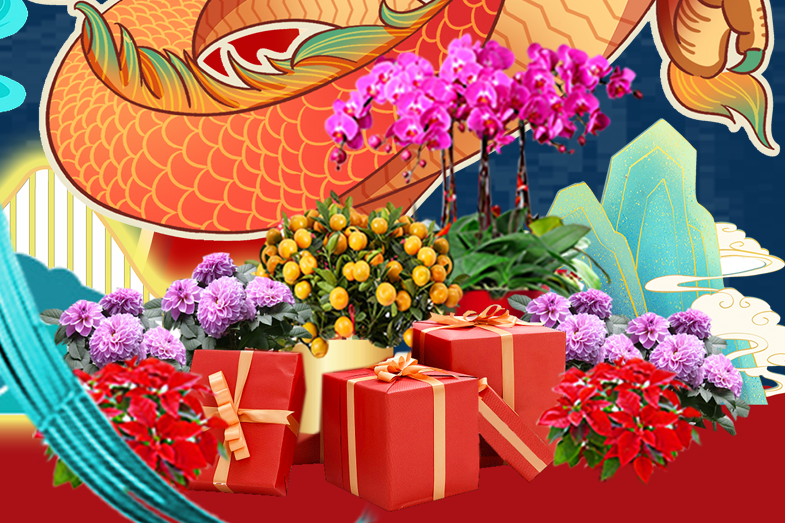 IM体育·(中国区)官方网站 -APP下载