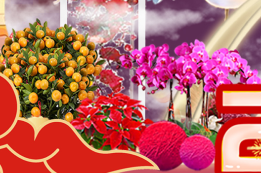 IM体育·(中国区)官方网站 -APP下载