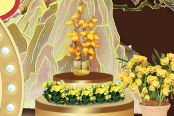 IM体育·(中国区)官方网站 -APP下载