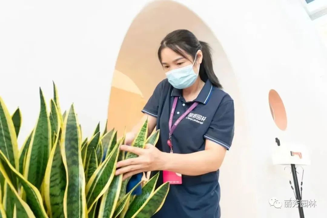 IM体育·(中国区)官方网站 -APP下载