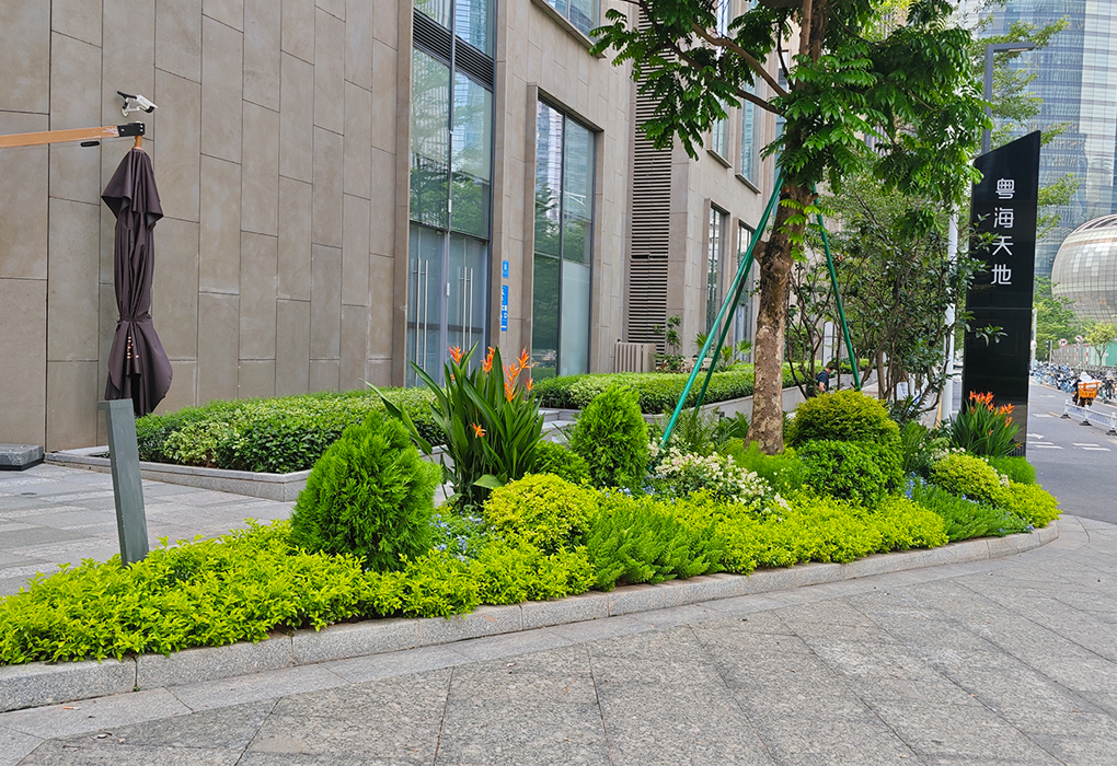商场绿化设计与施工——粤海世界