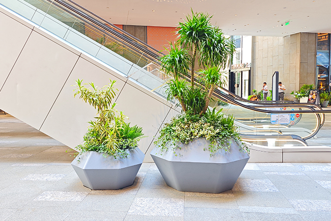 商场绿化设计与施工——粤海世界