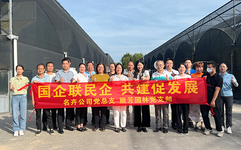 党建联建，共谱新篇！IM体育园林党支部与名卉公司党支部发展结对共建活动