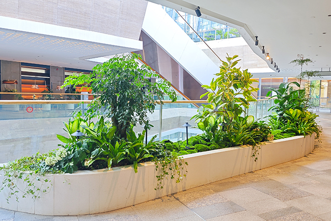 商场绿化设计与施工——粤海世界