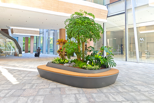 商场绿化设计与施工——粤海世界