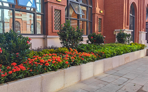 IM����԰�ְ�������ɽ��ѧ������̻�����������ĿԲ��ʵ��