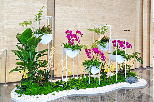 甲级写字楼绿植租摆-华兴银行案例