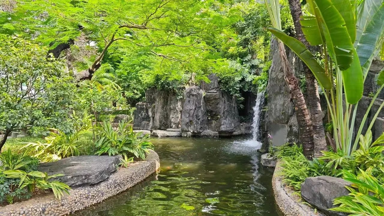 IM体育·(中国区)官方网站 -APP下载