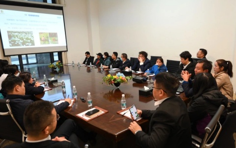 活动分享 | 荔湾物协结合IM体育园林进行绿植建剪技术培训讲座