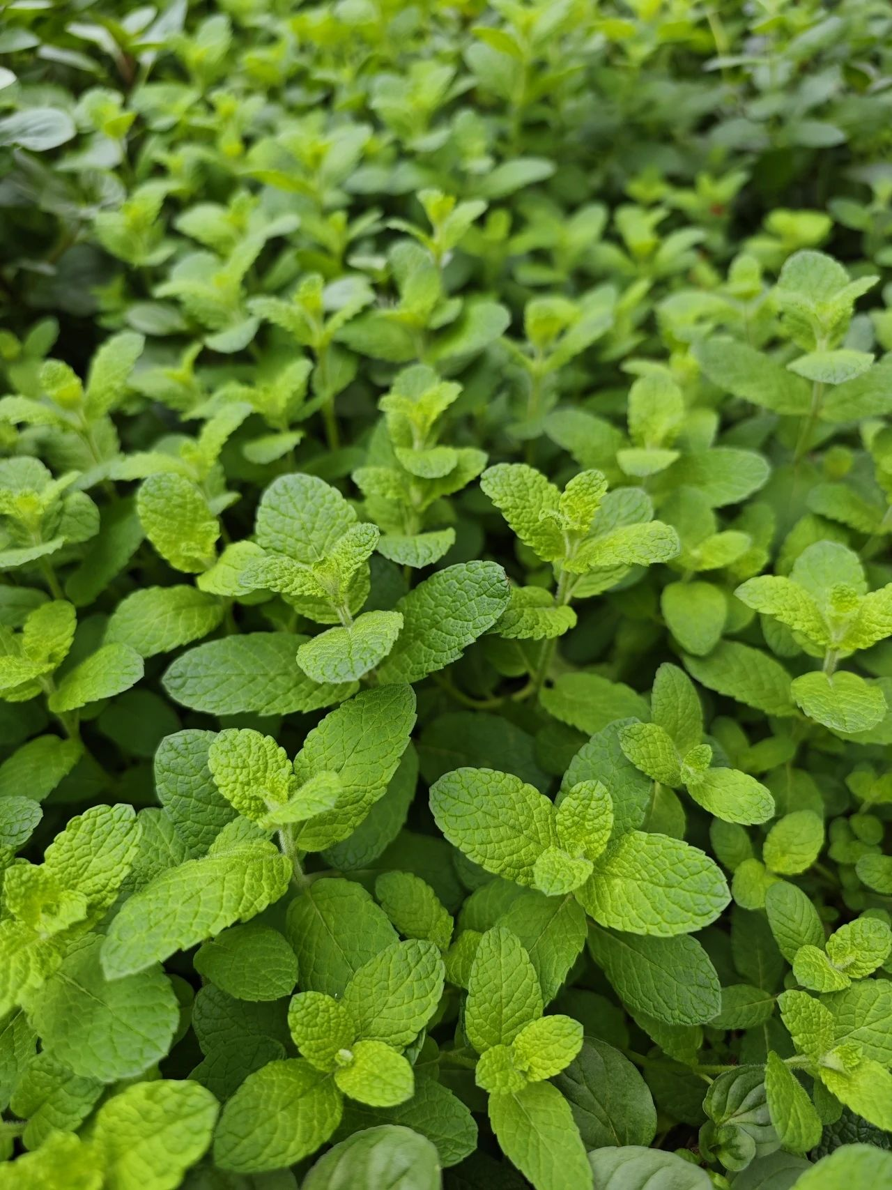 IM体育·(中国区)官方网站 -APP下载