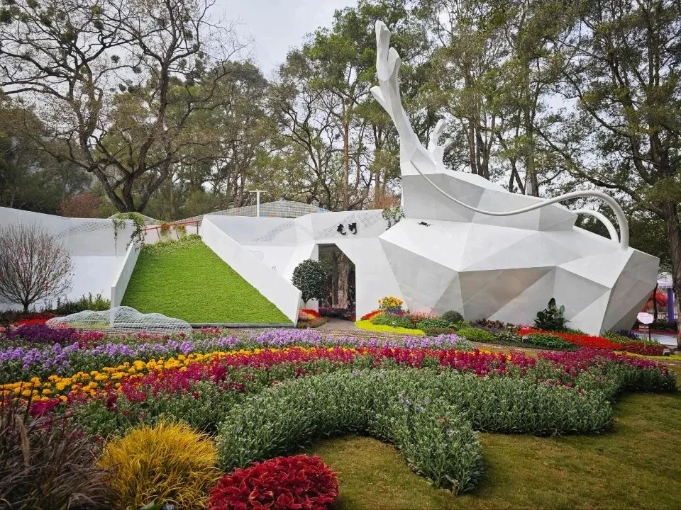 IM体育·(中国区)官方网站 -APP下载