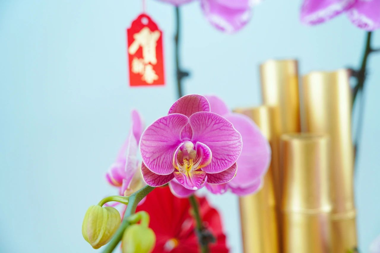 IM体育·(中国区)官方网站 -APP下载