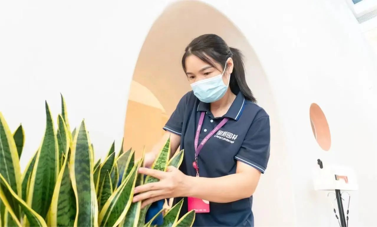 IM体育·(中国区)官方网站 -APP下载