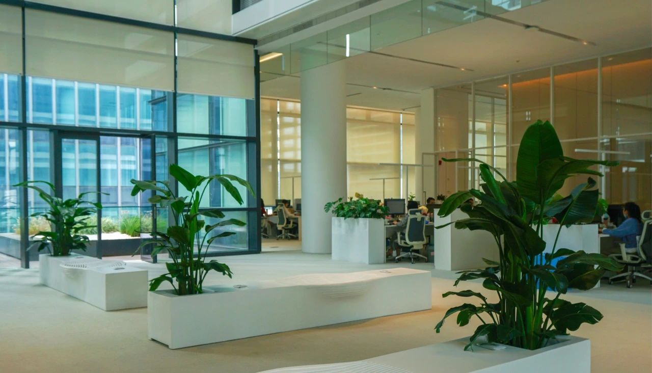 IM体育·(中国区)官方网站 -APP下载