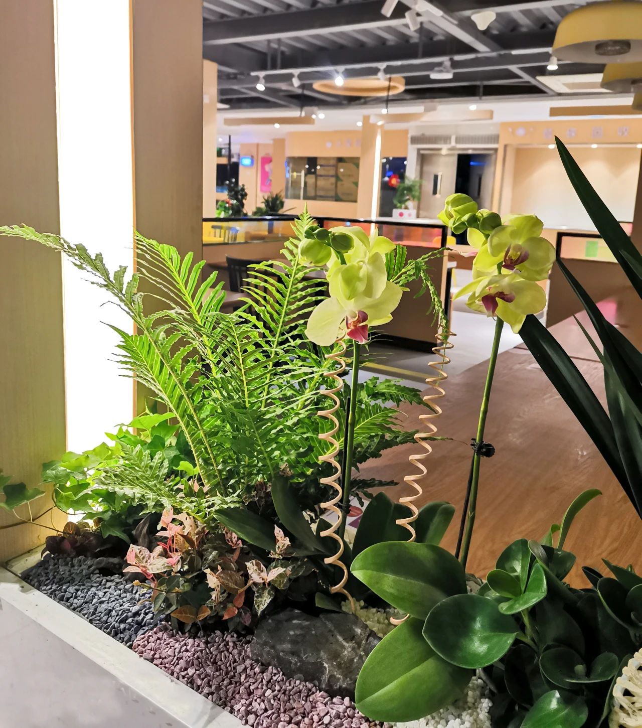 IM体育·(中国区)官方网站 -APP下载