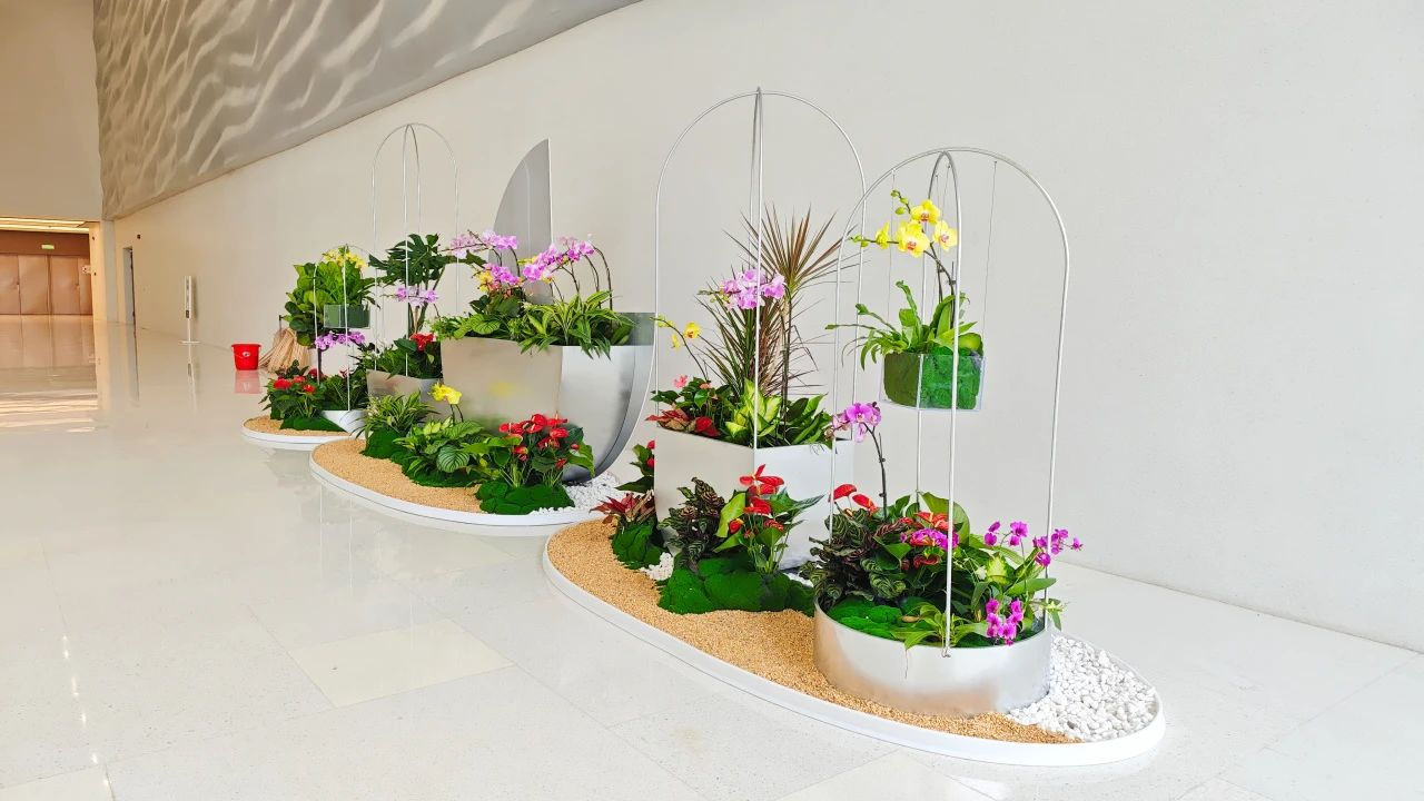 IM体育·(中国区)官方网站 -APP下载