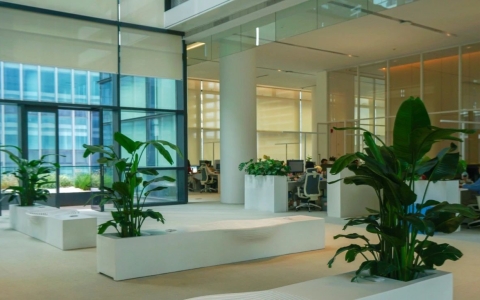 ��̬�칫�����ɺ��� | ��ɫ�칫�·���