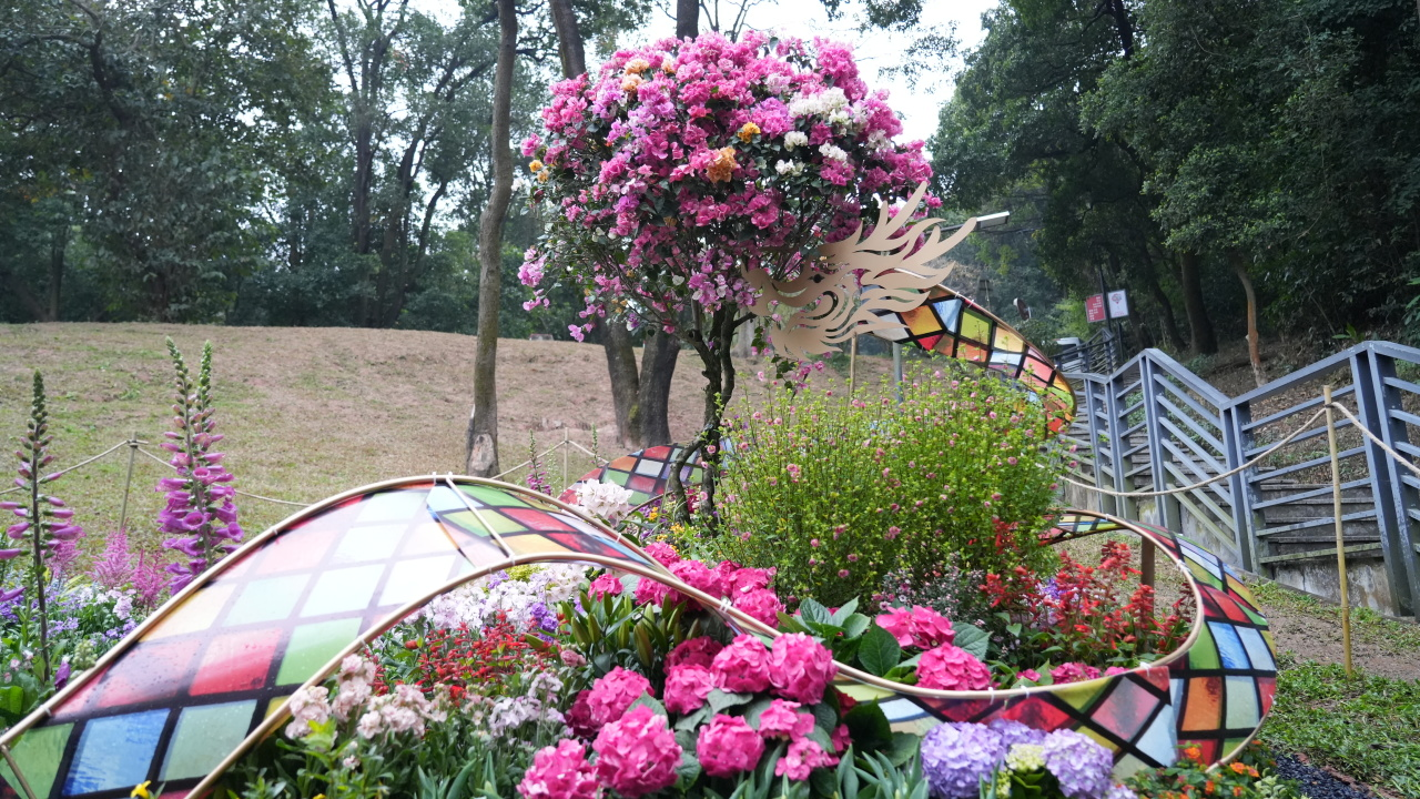 IM体育·(中国区)官方网站 -APP下载