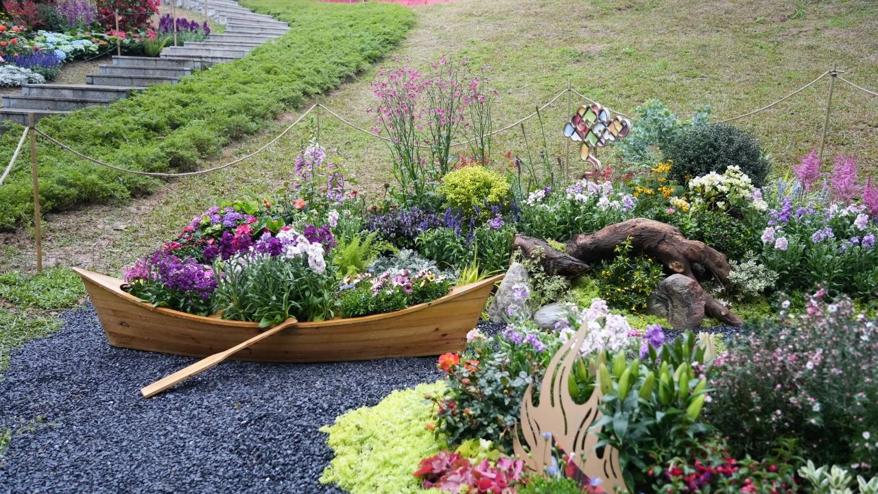 IM体育·(中国区)官方网站 -APP下载