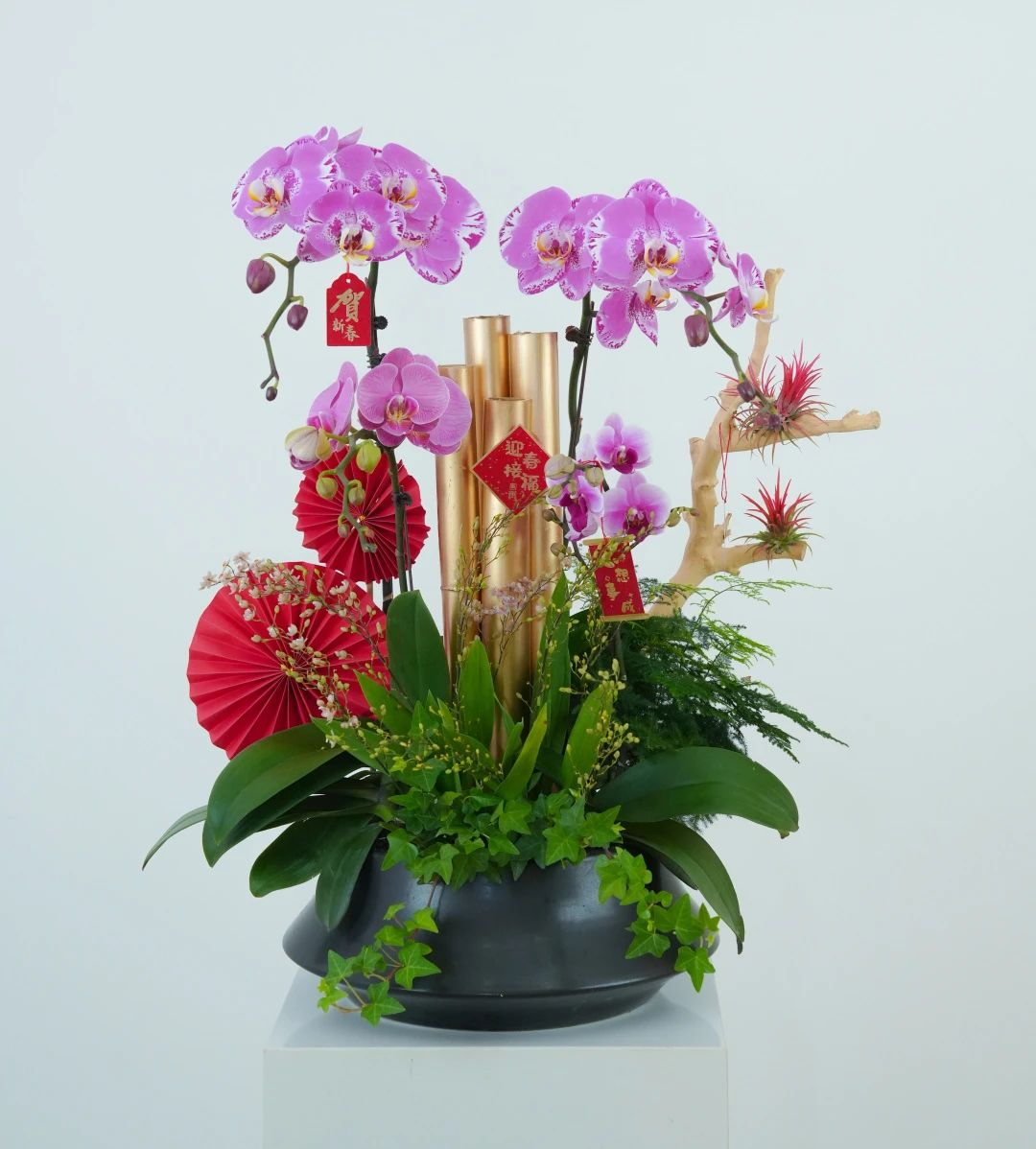 IM体育·(中国区)官方网站 -APP下载