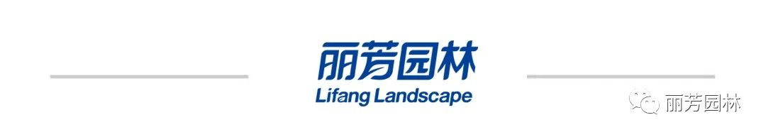 IM体育·(中国区)官方网站 -APP下载