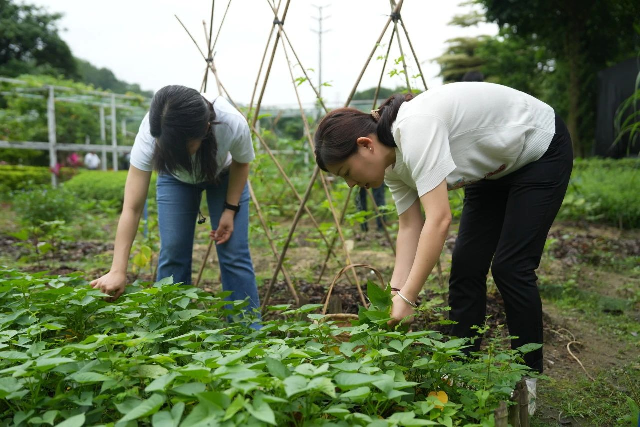 IM������(�й���)�ٷ���վ -APP����