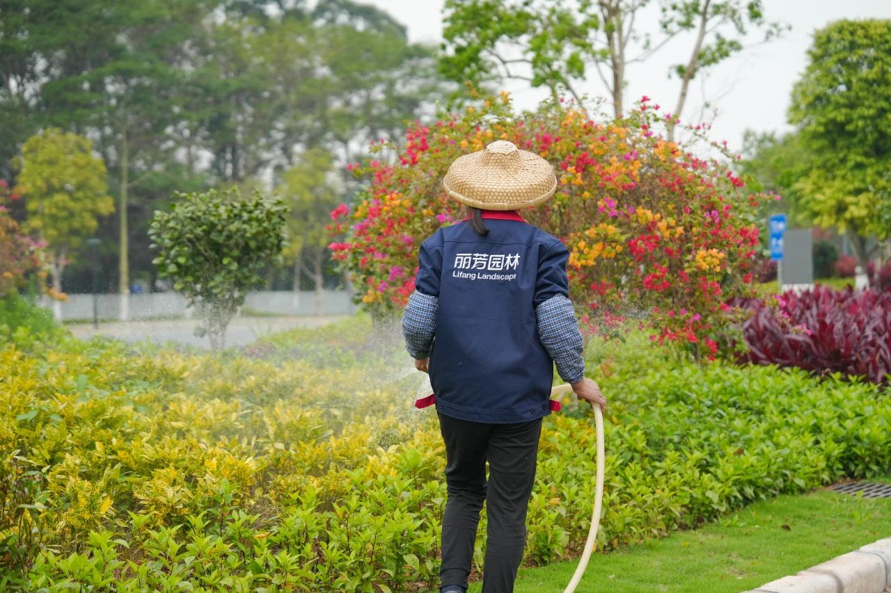 IM体育·(中国区)官方网站 -APP下载