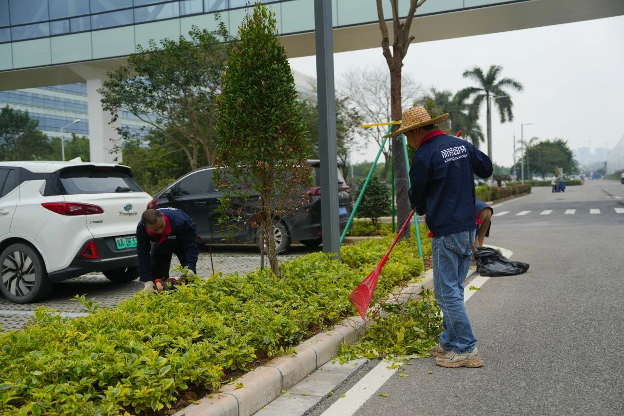 IM体育·(中国区)官方网站 -APP下载