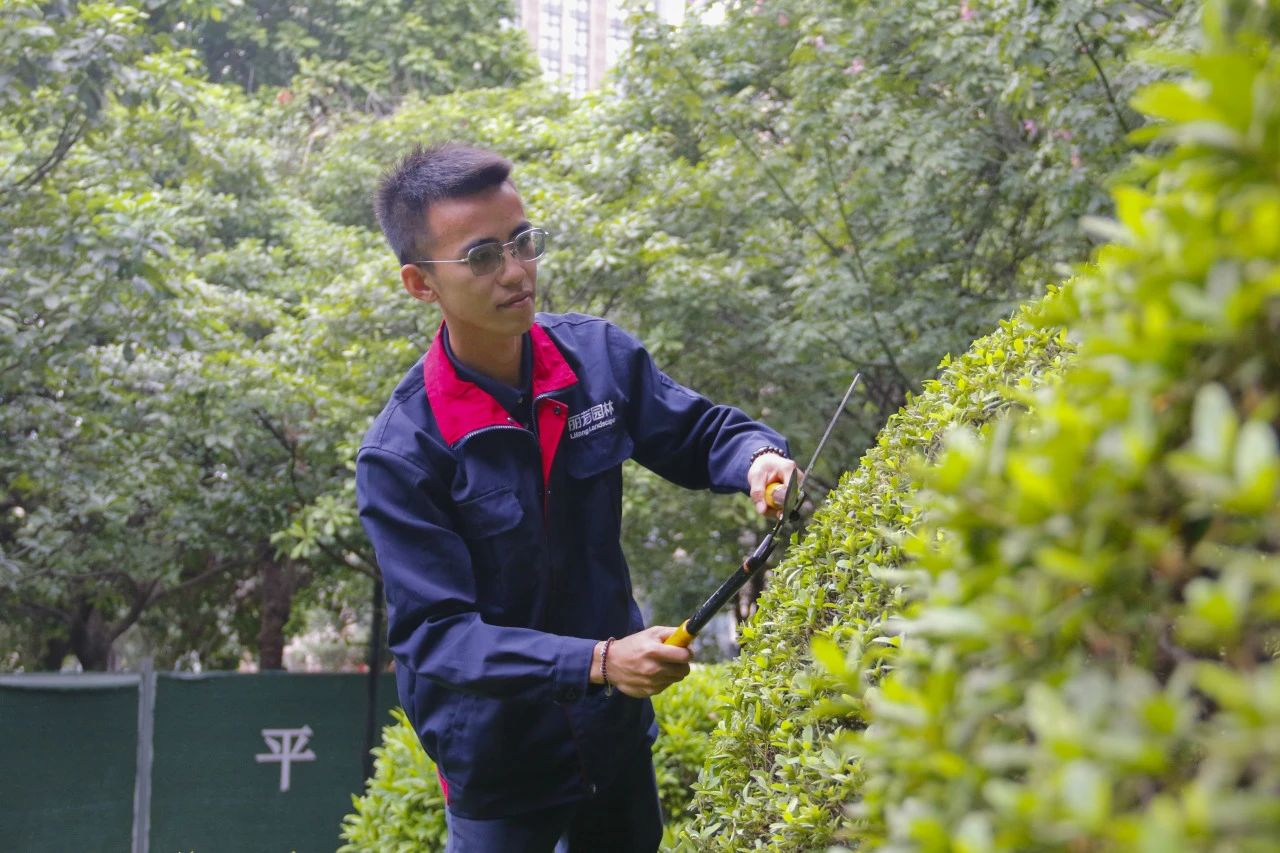 IM体育·(中国区)官方网站 -APP下载