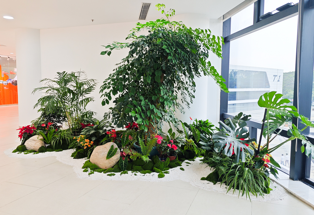 广汽钻研院绿植租摆