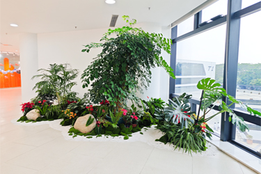 IM体育·(中国区)官方网站 -APP下载