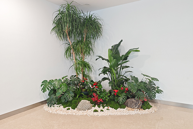广汽钻研院绿植租摆