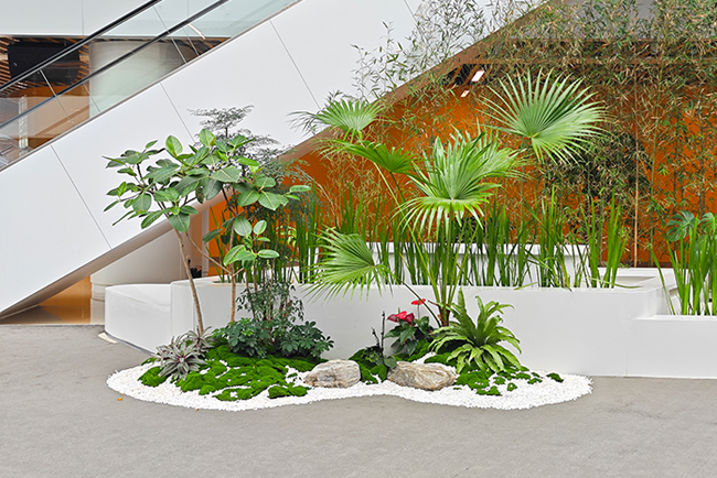 广汽钻研院绿植租摆