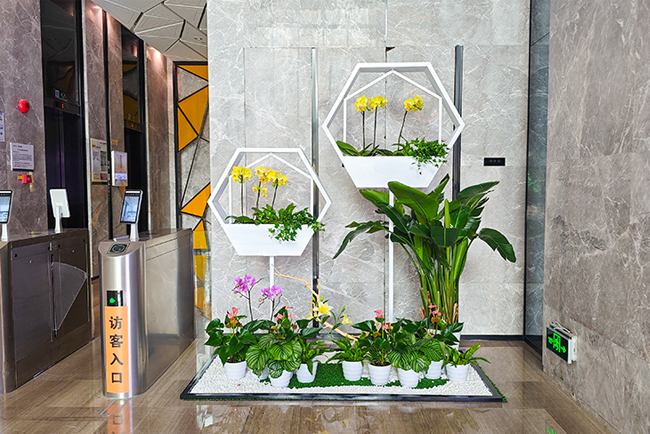 保利多数汇大堂绿化美陈组景