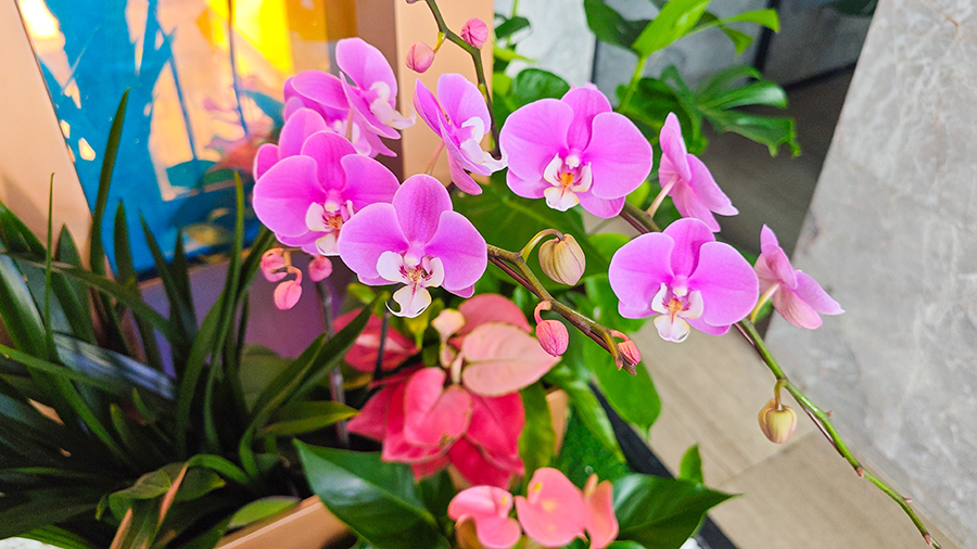 保利多数汇大堂绿化美陈组景