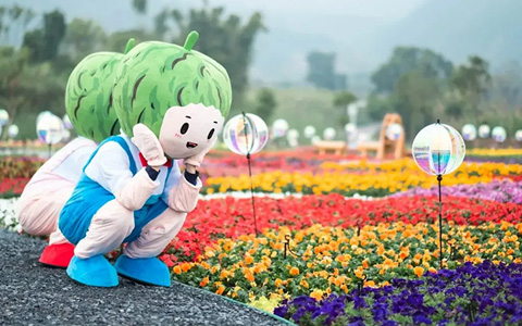 IM����԰���������� | ʰȤ��Ȼ��������԰������������԰�ۺ����������!