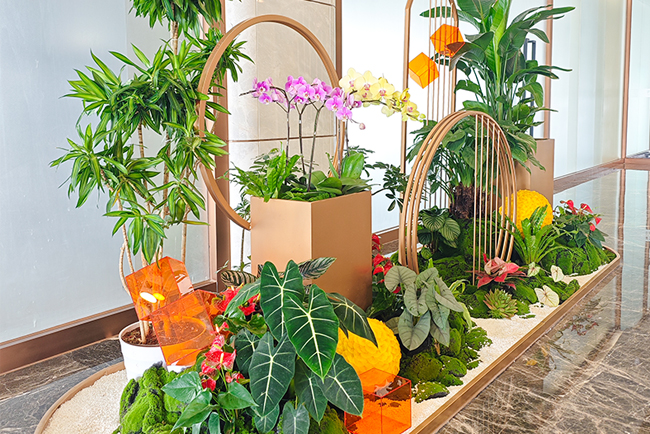 IM����԰����ֲ��ڡ������ƽ�ش���