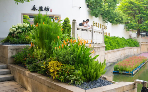 景观设计案例，IM体育园林匠心打造永庆坊“莫奈花圃”花境盛宴