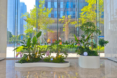 �������״�����ֲ���