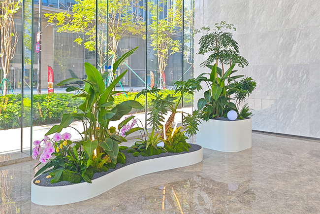 广州幼米大厦绿植租摆
