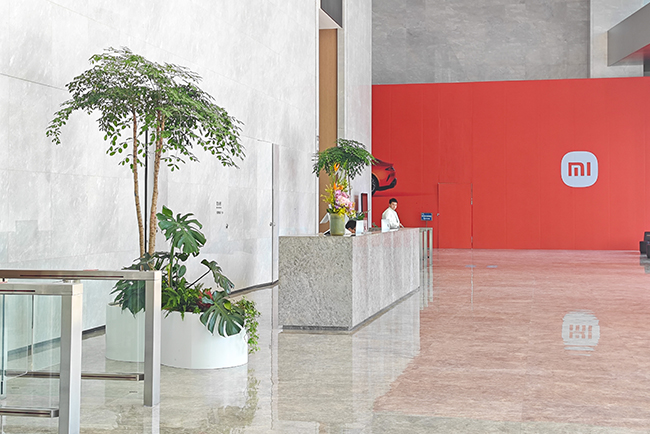 广州幼米大厦绿植租摆