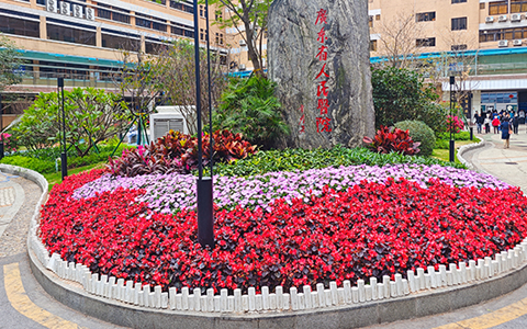 广东省人民医院绿化养护案例——IM体育园林赋能医疗环境升级