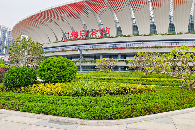 广州白云站综合交通枢纽服务中心绿化养护