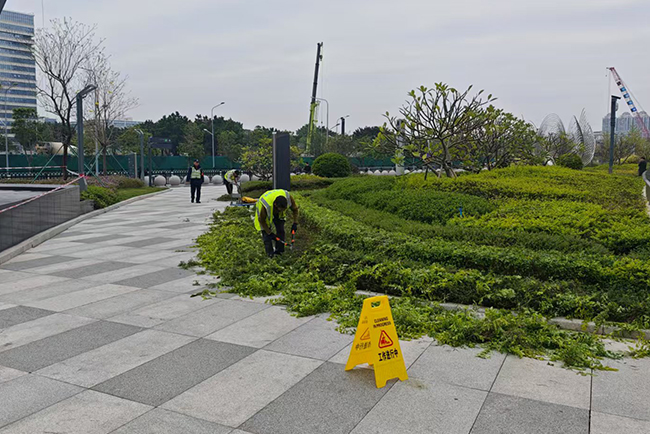 广州白云站综合交通枢纽服务中心绿化养护