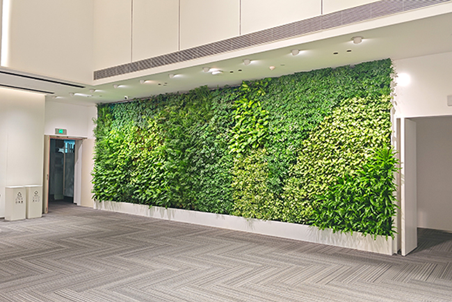 名创优品室内绿植租摆